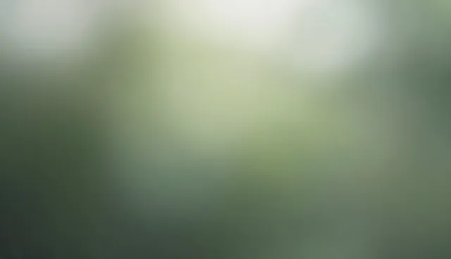 安保托管方案选型与维护建议
